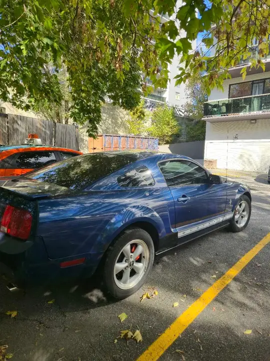 Ford Mustang 2008 photo 2