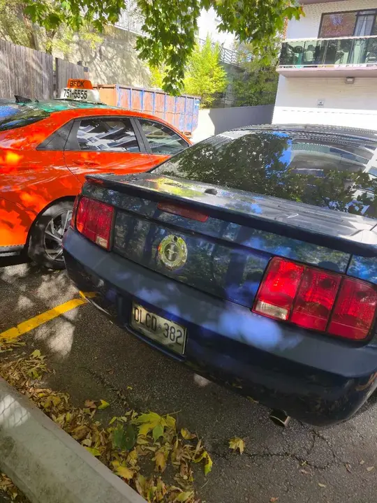 Ford Mustang 2008 photo 3