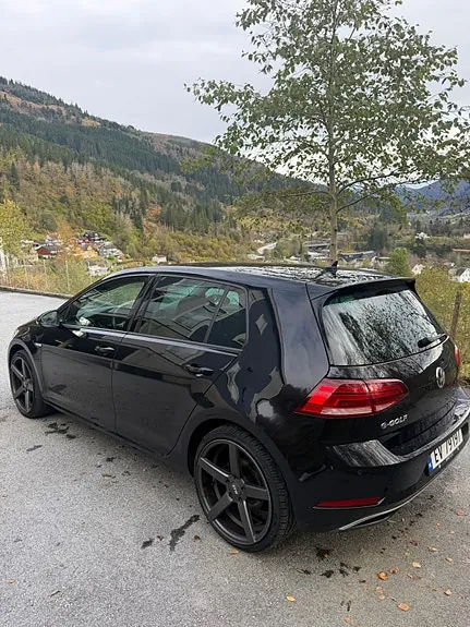 Volkswagen E-Golf Vii 2019 photo 3