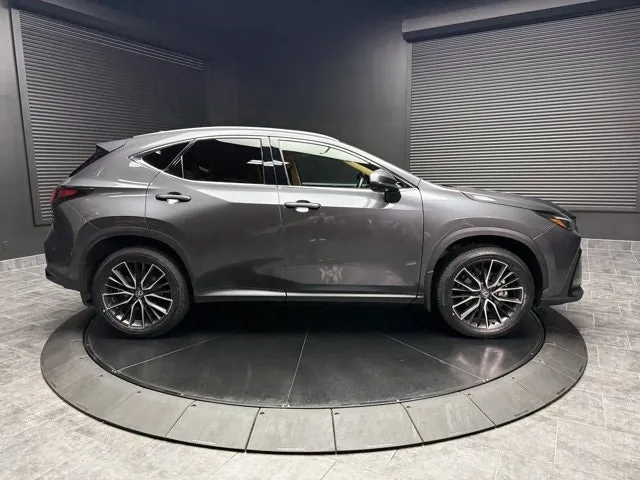 Lexus Nx 2024 photo 2