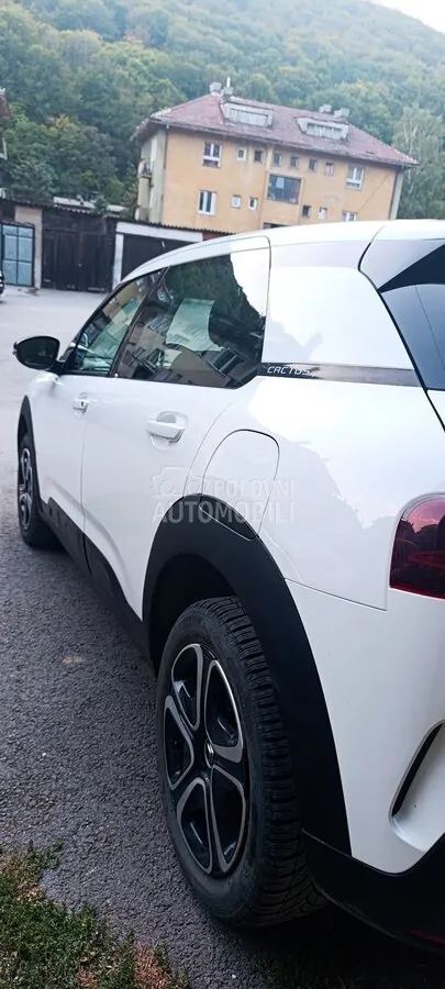 Citroen C4 Cactus 2019 photo 4
