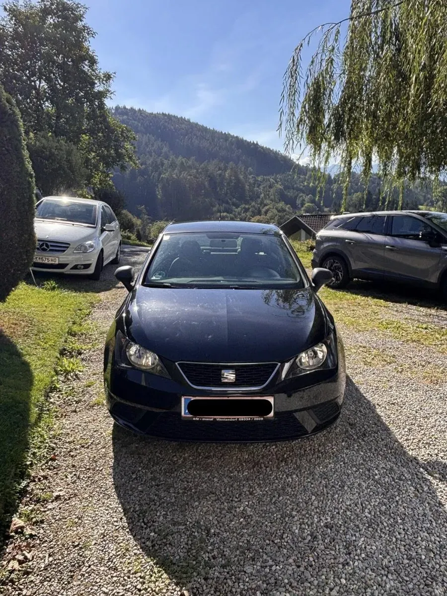 Seat Ibiza 2015 photo 2