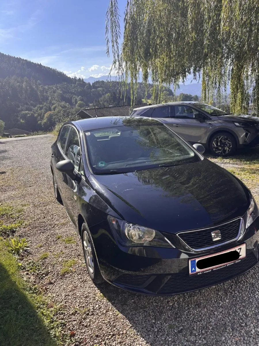 Seat Ibiza 2015 photo 3