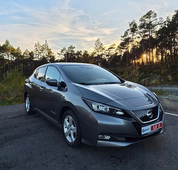 Nissan Leaf 2019 photo 2