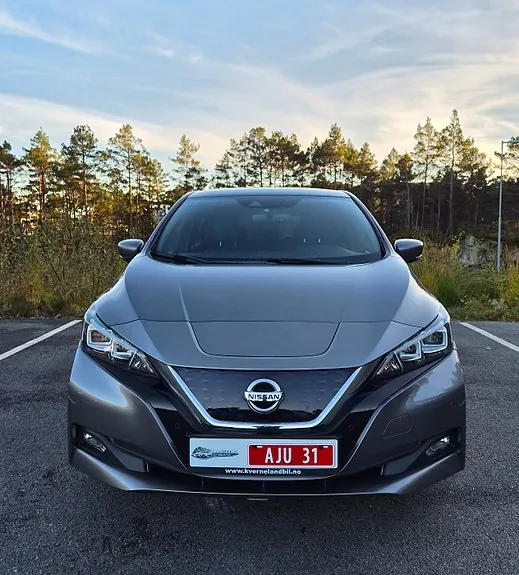 Nissan Leaf 2019 photo 3