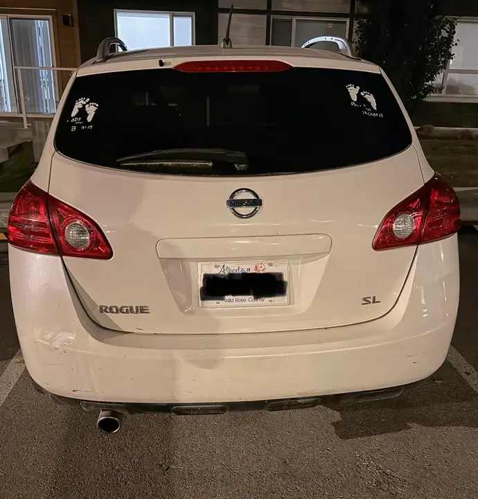 Nissan Rogue 2008 photo 2