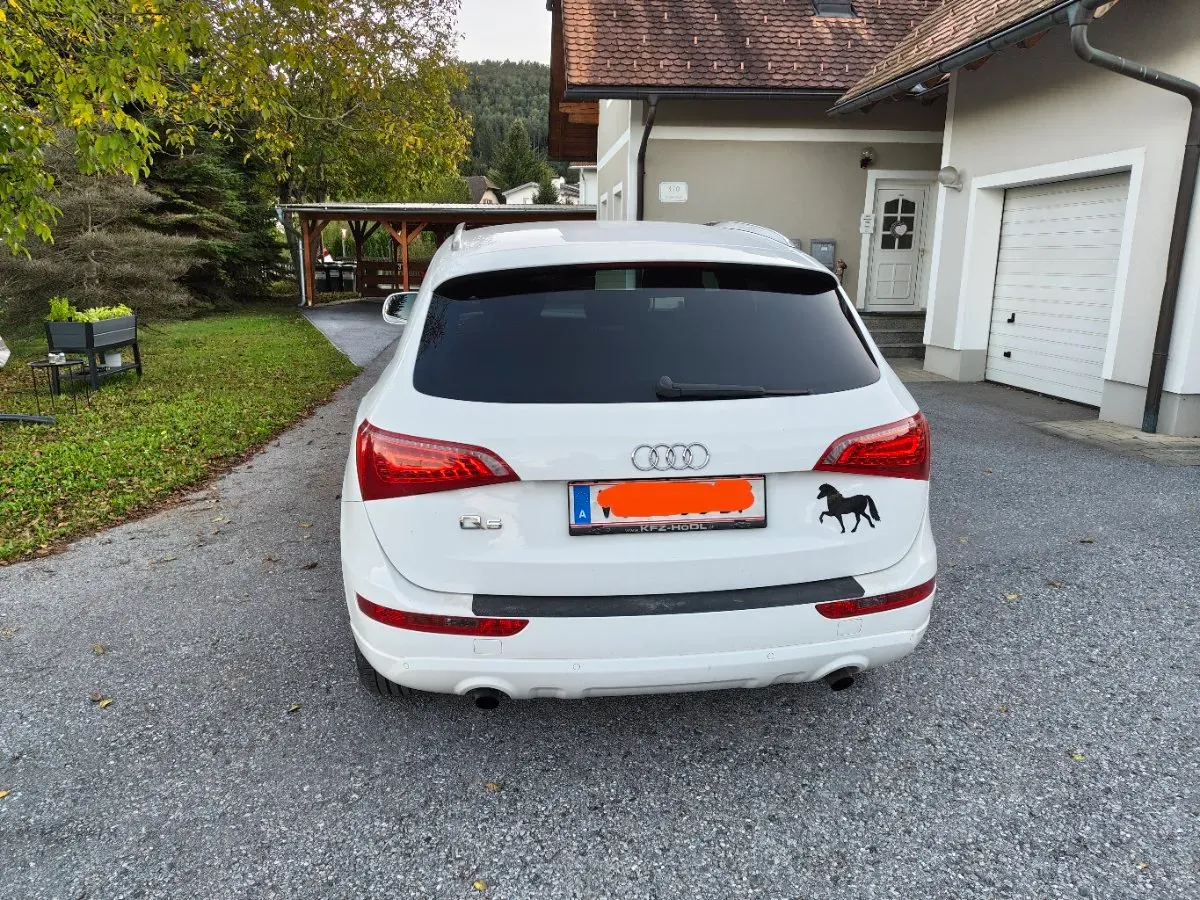 Audi Q5 2009 photo 3
