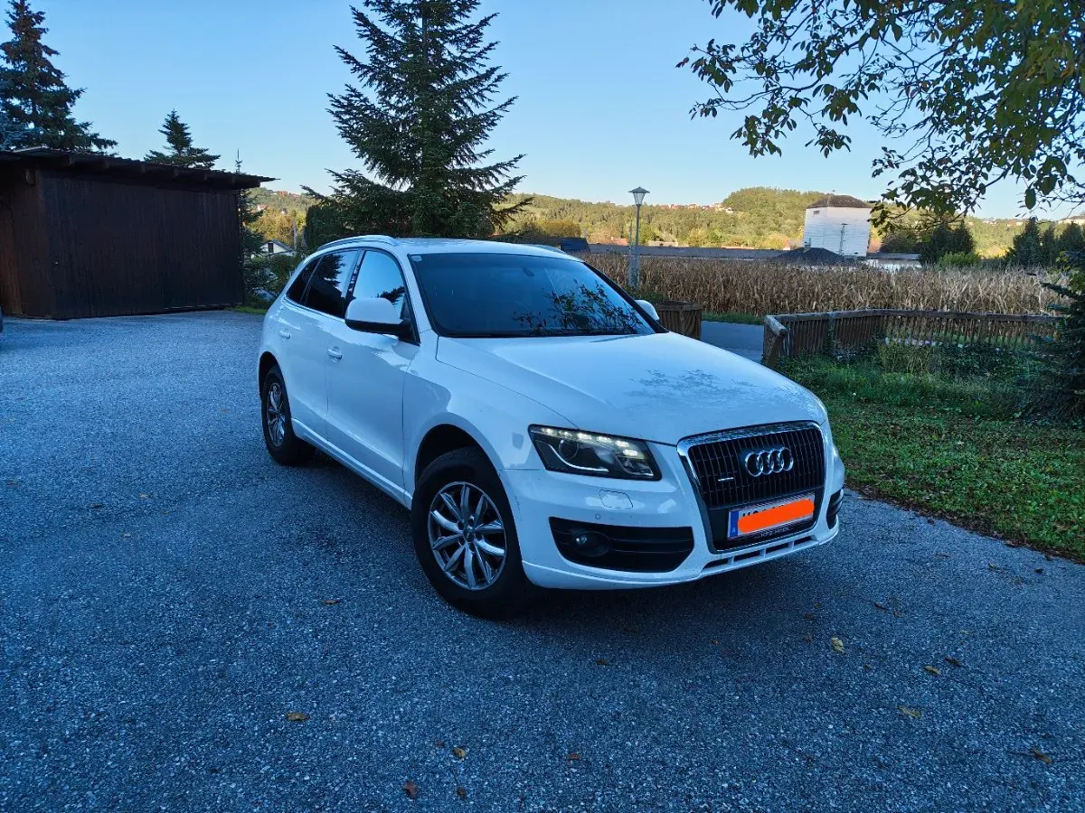 Audi Q5 2009 photo 2