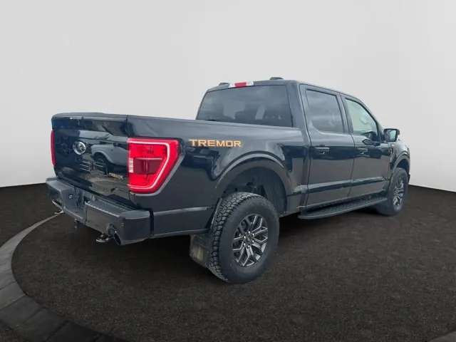 Ford F-150 2023 photo 5