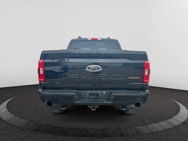 Ford F-150 2023 photo 4
