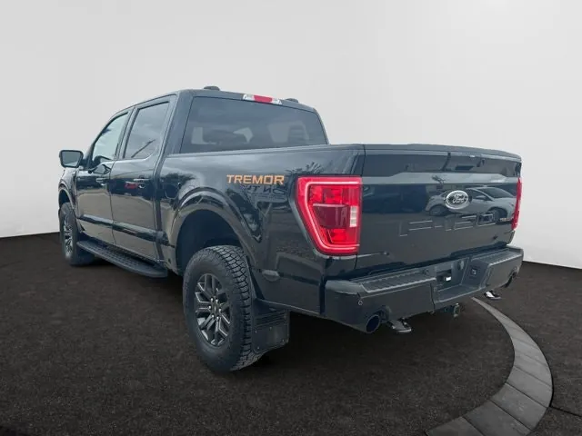 Ford F-150 2023 photo 3