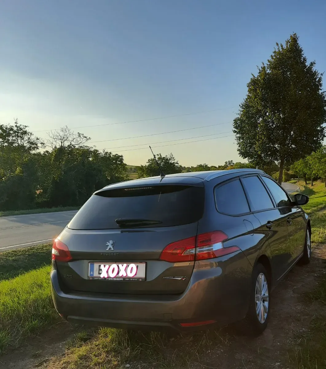 Peugeot 308 Sw 2016 photo 3