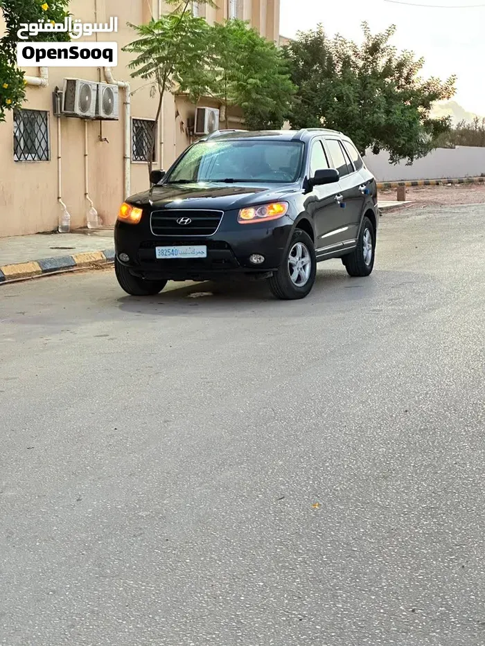 Hyundai Santa Fe 2009 photo 2