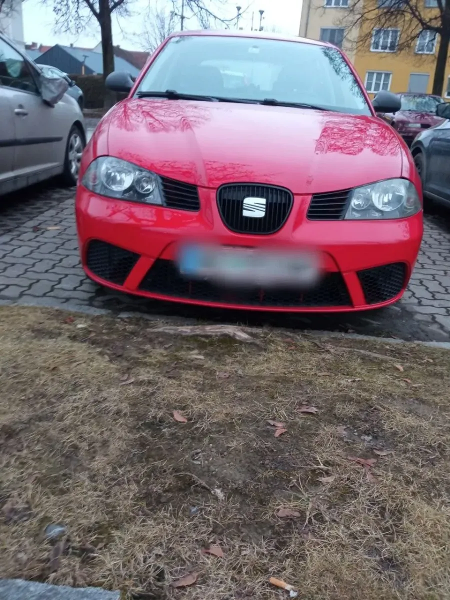 Seat Ibiza 2009 photo 2