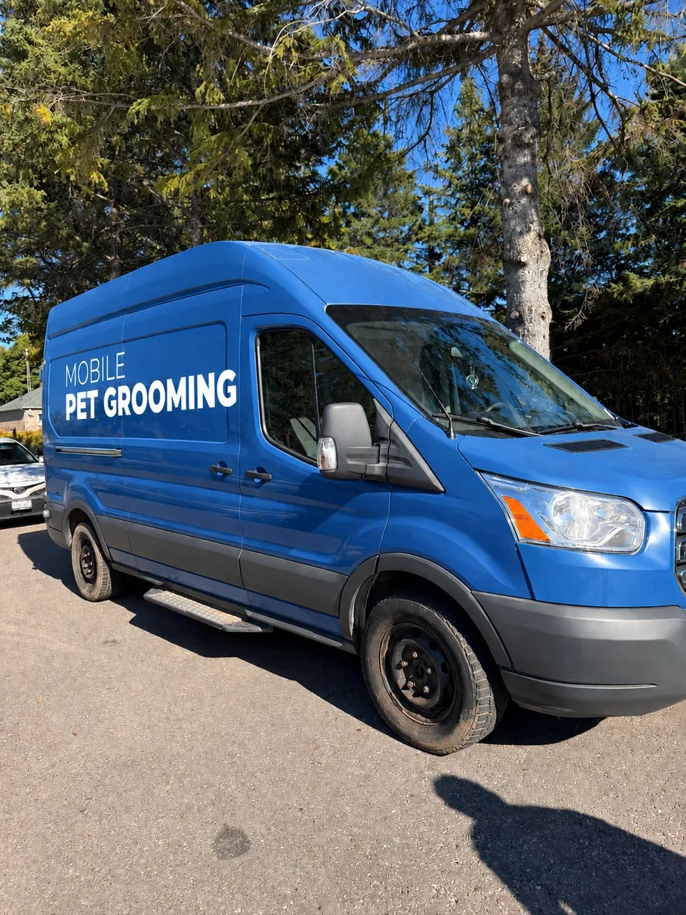 Ford Transit 2018 photo 2