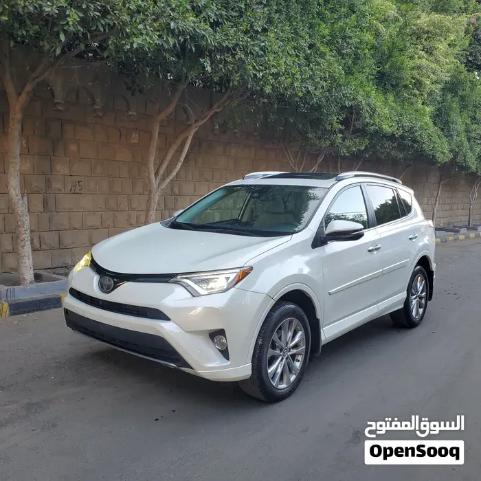 Toyota Rav 4 2018 photo 2