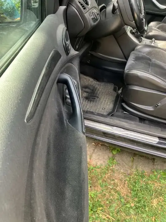 Ford Galaxy 2009 photo 3