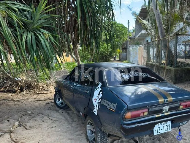 Nissan Sunny 1978 photo 5