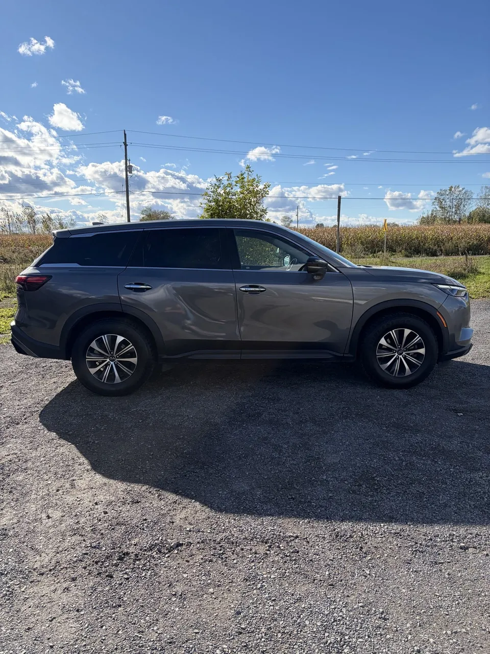 Infiniti Qx60 2024 photo 4
