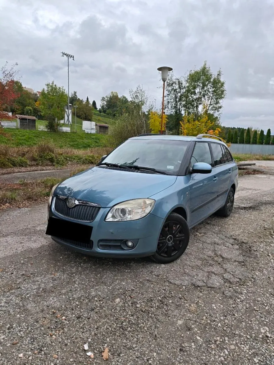 Skoda Fabia 2009 photo 3