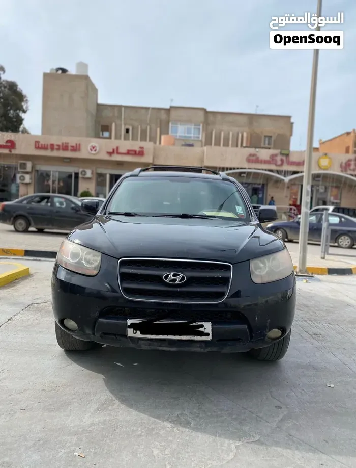 Hyundai Santa Fe 2008 photo 2