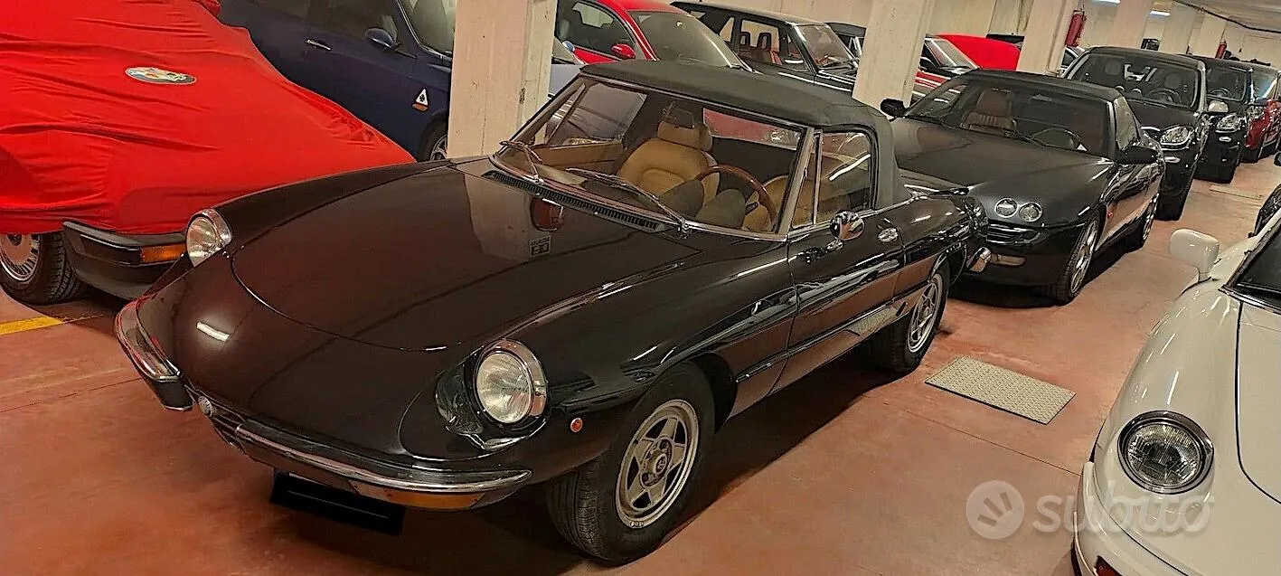 Alfa Romeo Spider