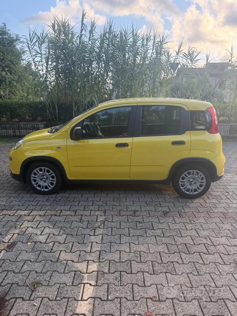 Fiat Panda 2024 photo 4