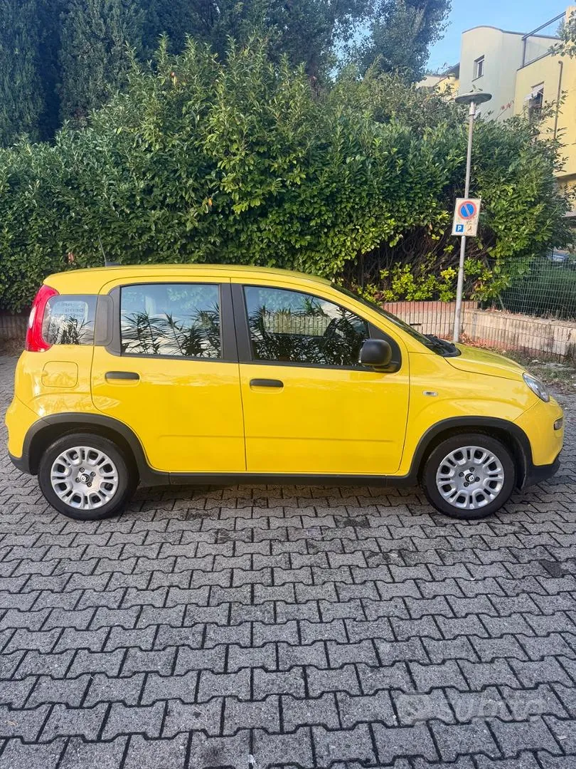Fiat Panda 2024 photo 3