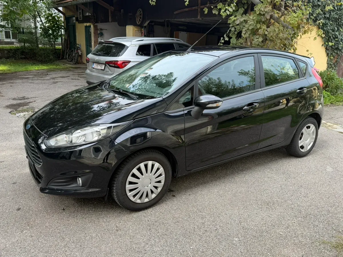 Ford Fiesta 2014 photo 2