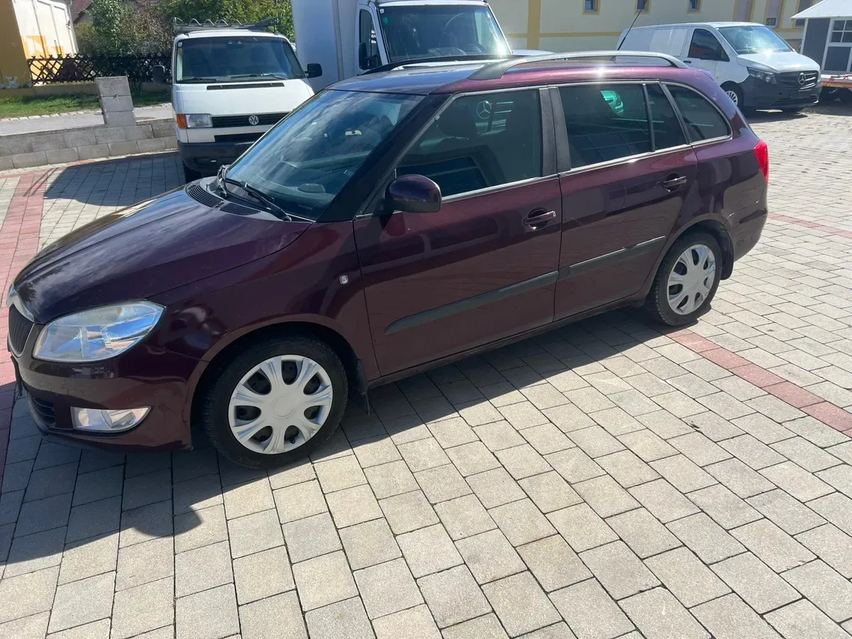 Skoda Fabia 2010 photo 2