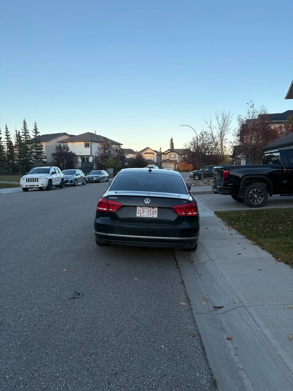 Volkswagen Passat 2014 photo 4