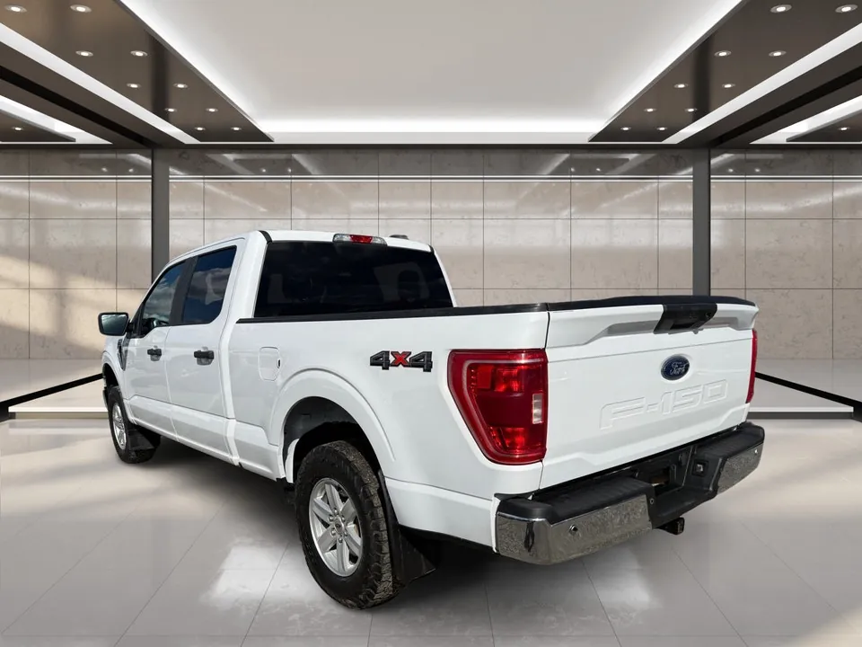 Ford F-150 2023 photo 4