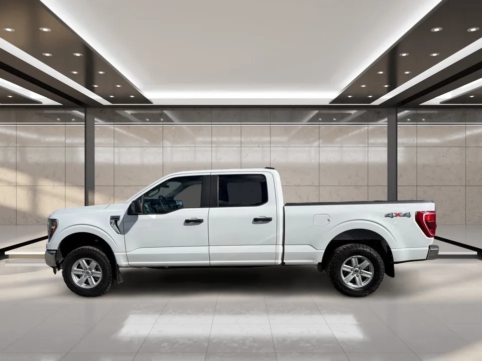 Ford F-150 2023 photo 5