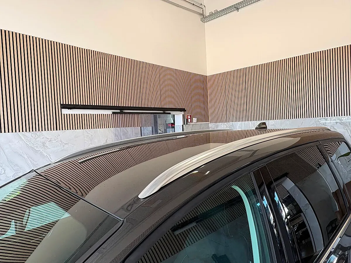 Ford Galaxy 2021 photo 3
