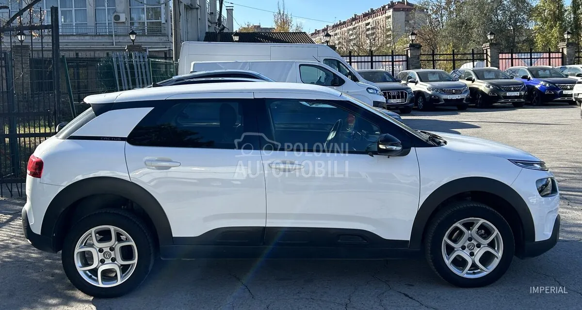 Citroen C4 Cactus 2019 photo 4