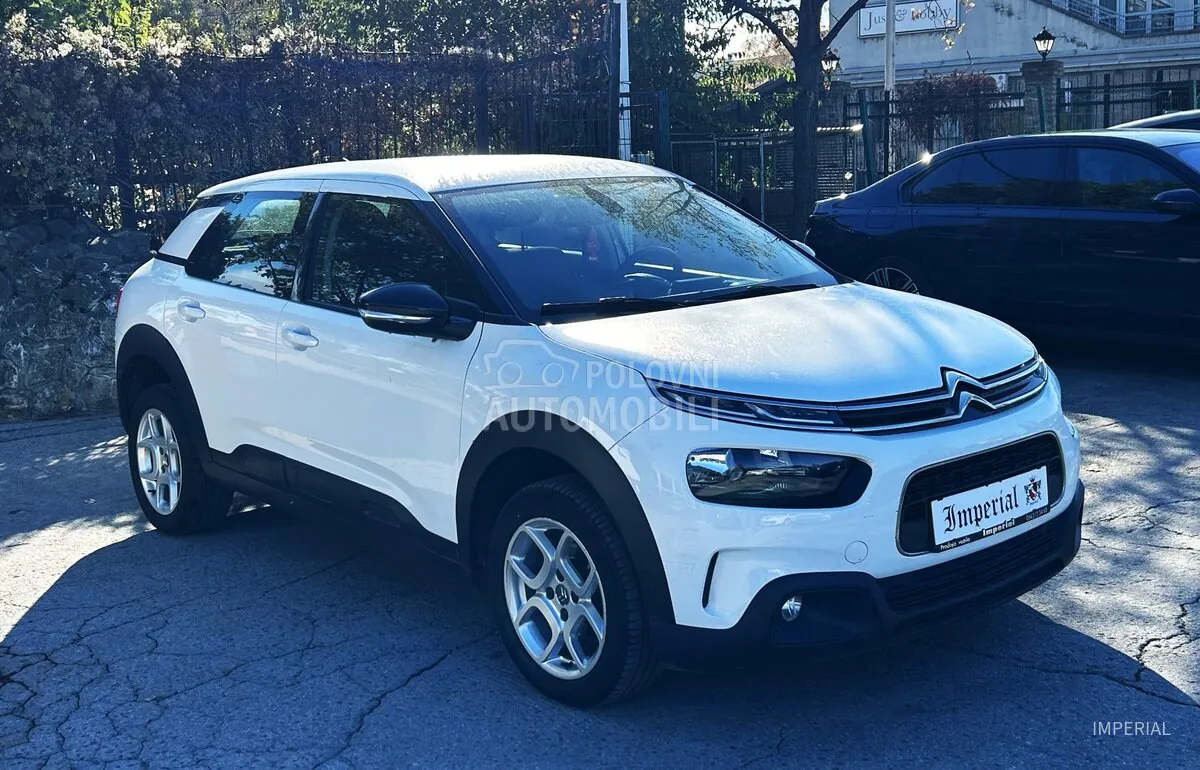 Citroen C4 Cactus 2019 photo 3