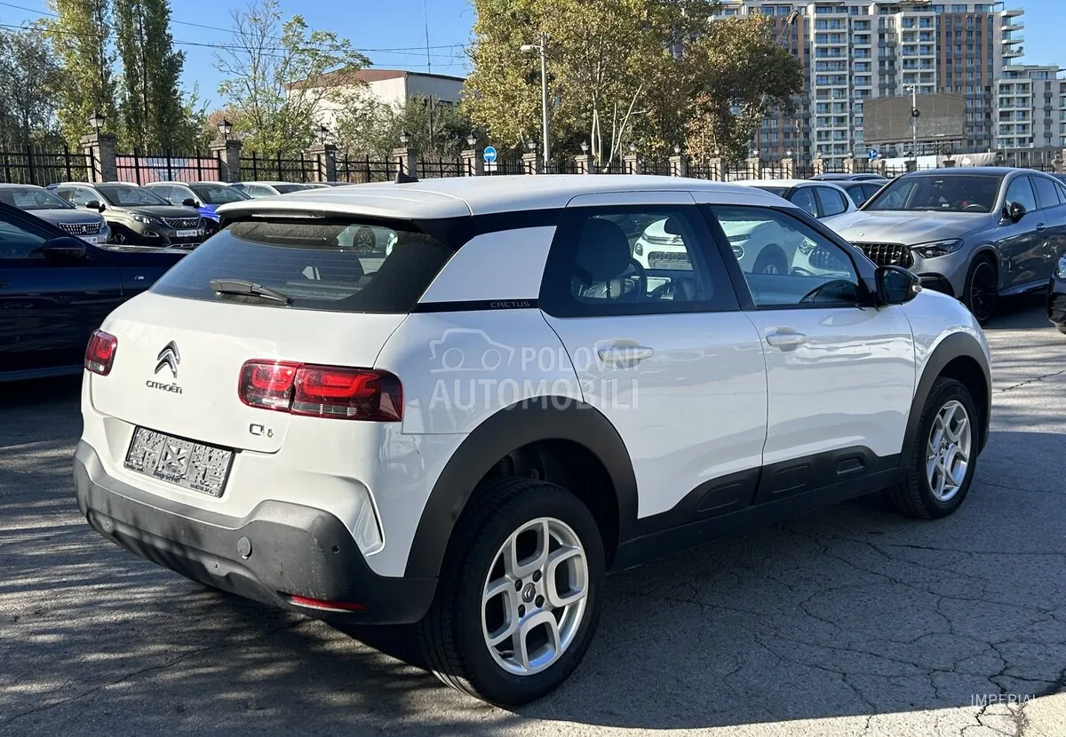Citroen C4 Cactus 2019 photo 5