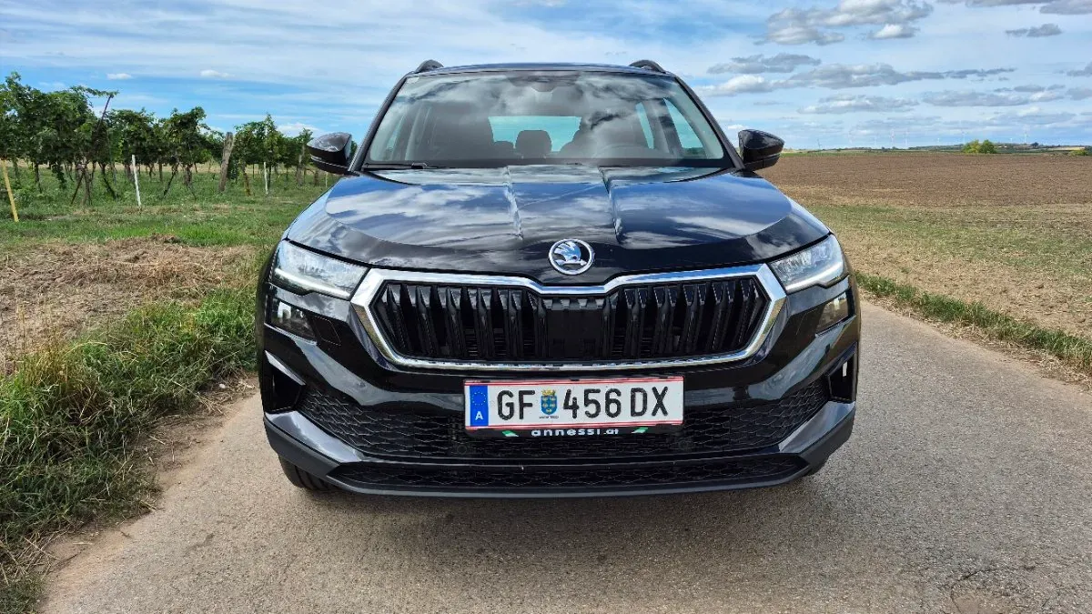 Skoda Karoq 2024 photo 2