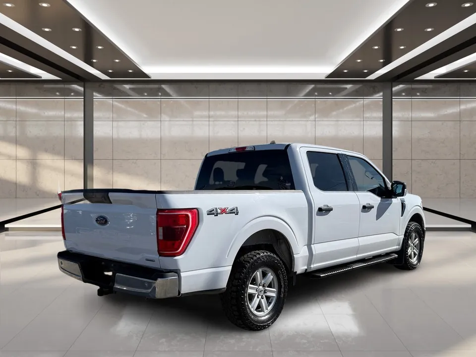 Ford F-150 2021 photo 3