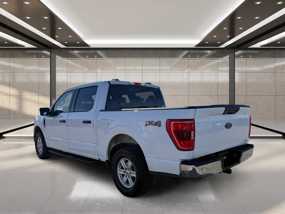 Ford F-150 2021 photo 4