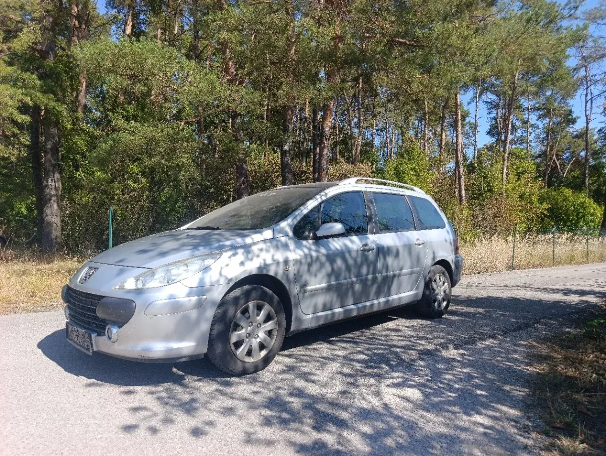 Peugeot 307 2005 photo 2