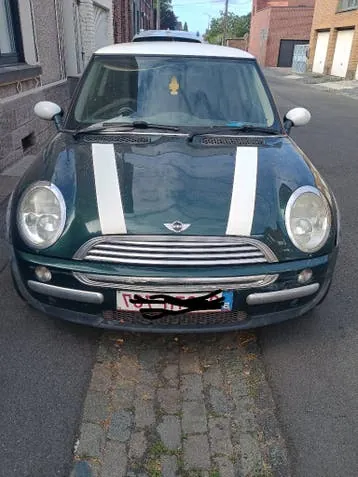 Mini Overige Modellen