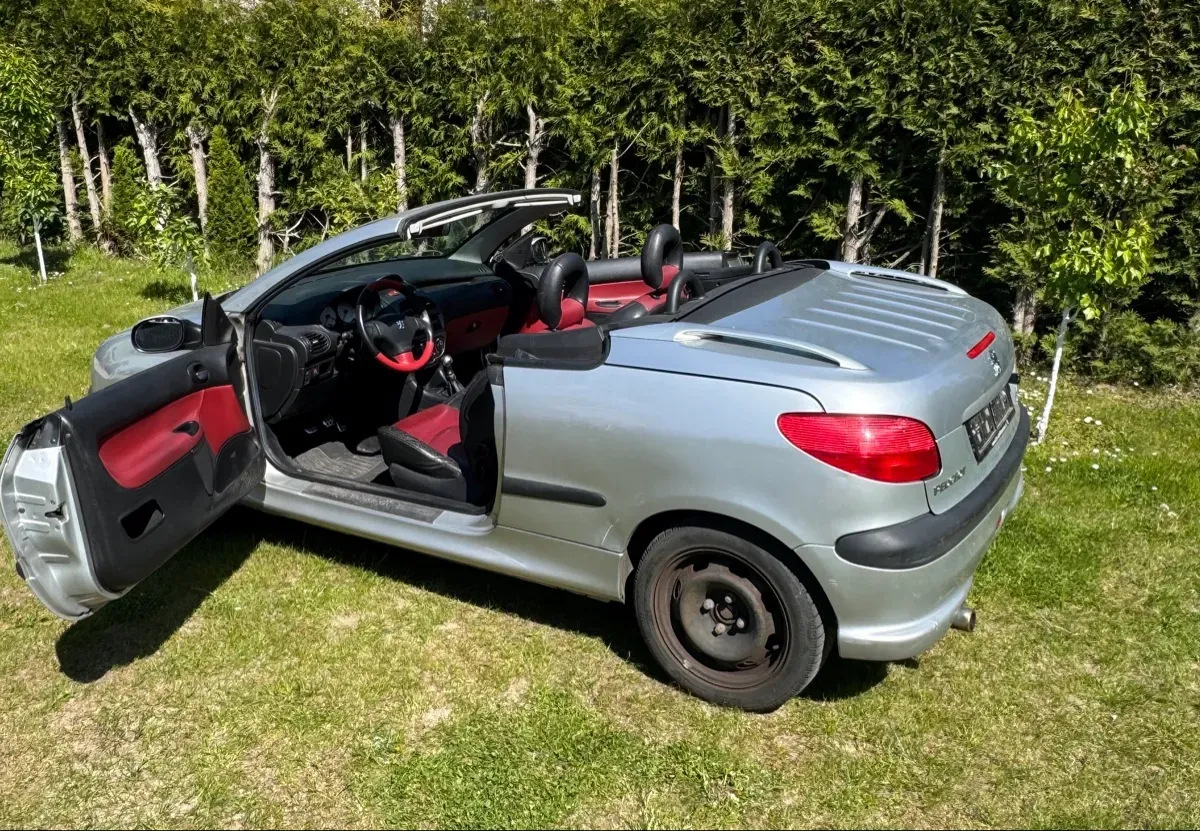 Peugeot 206 2002 photo 2