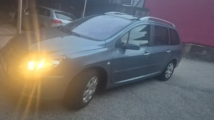 Peugeot 307 2004 photo 3