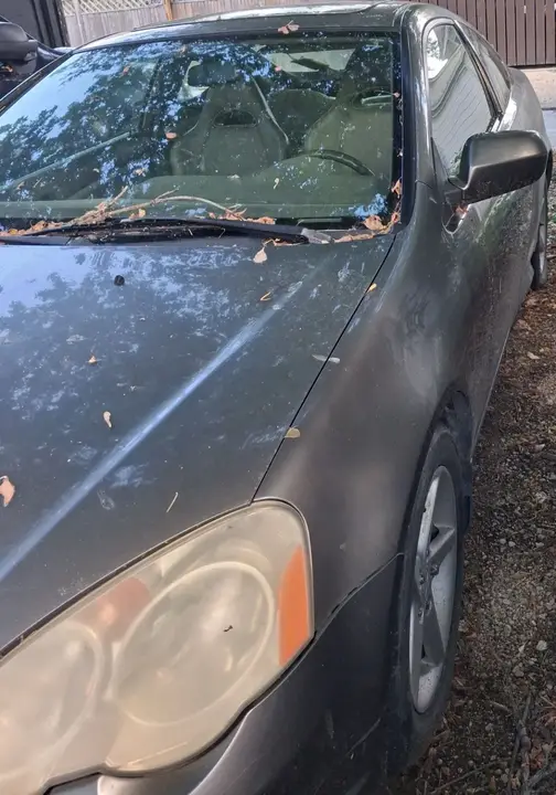 Acura Rsx 2002 photo 4