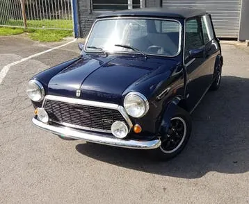 Mini 1000