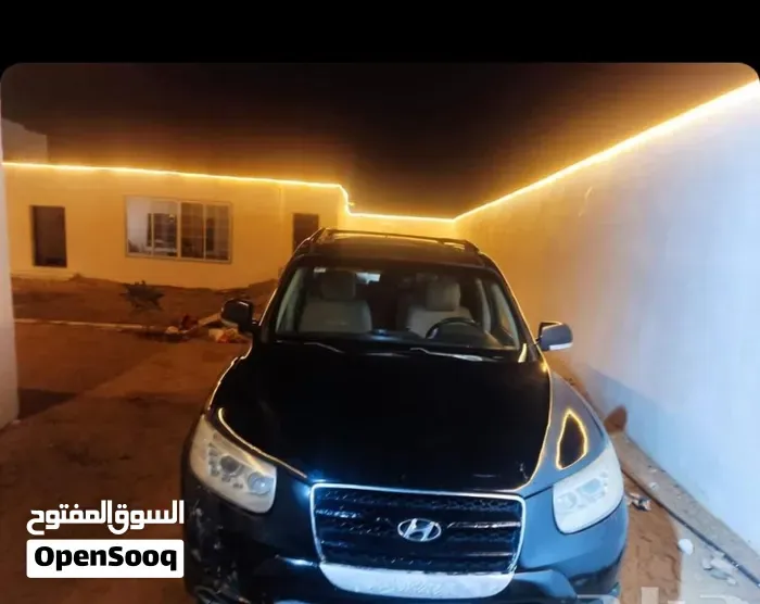 Hyundai Santa Fe 2009 photo 2