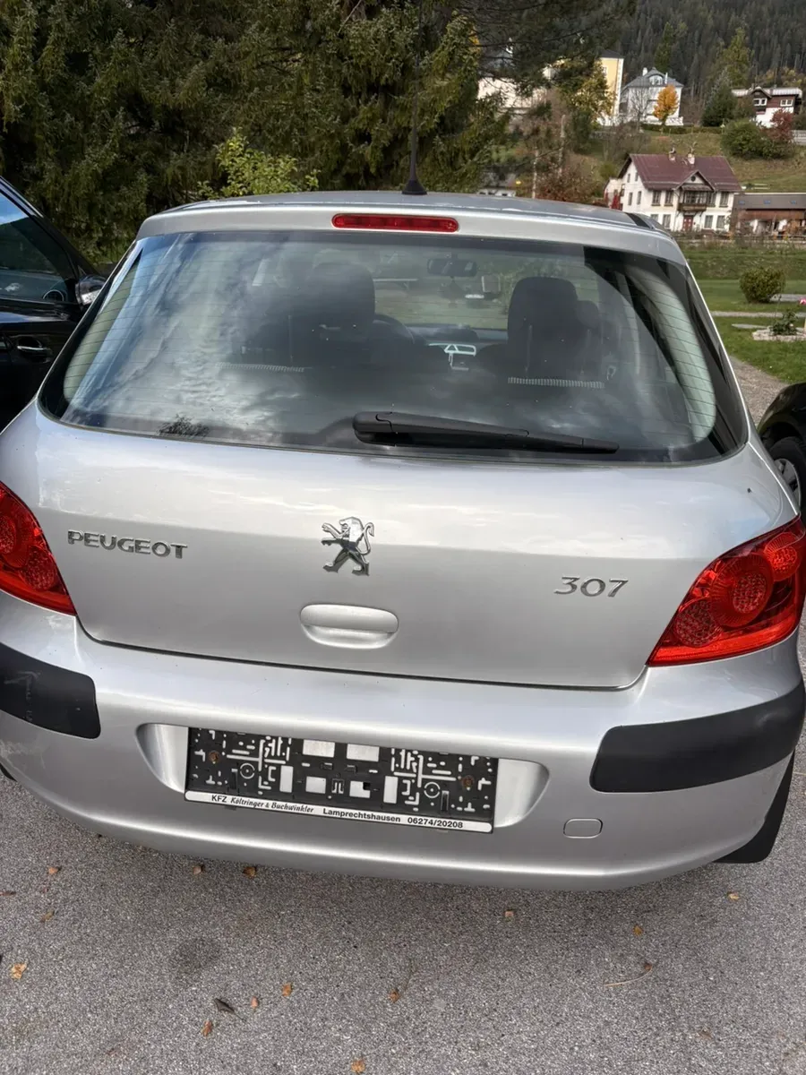 Peugeot 307 2006 photo 2
