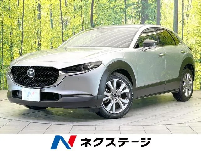 Mitsubishi Cx-30