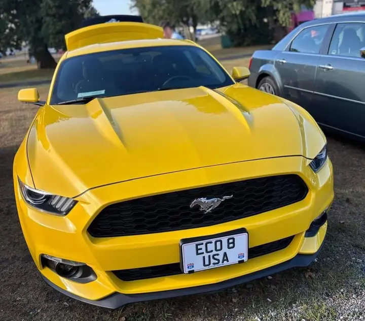 Ford Mustang 2015 photo 4